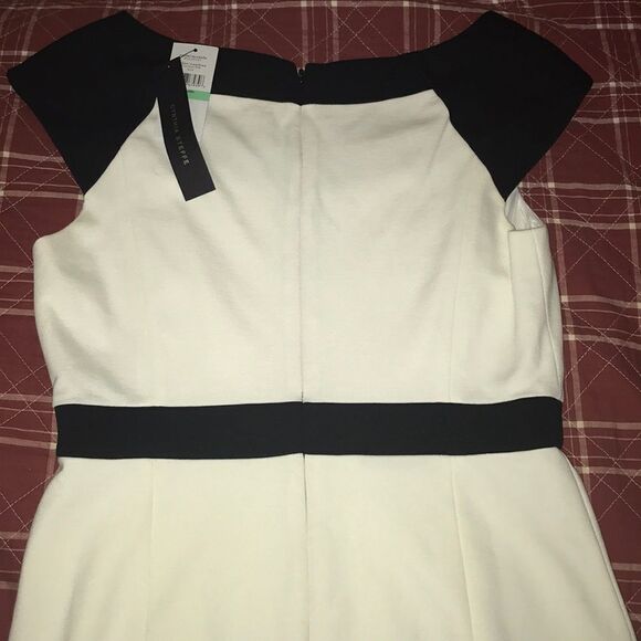 Cynthia steffe black and off white body con dress size 8 new with tags - Picture 6 of 10